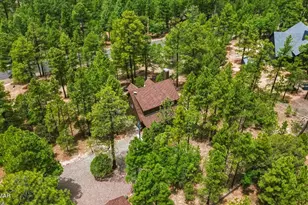 4075 Horseshoe Dr, Happy Jack, AZ 86024 - Photo 47
