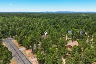 4075 Horseshoe Dr, Happy Jack, AZ 86024 - Photo 49