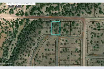 Tbd Cr 5166, Concho, AZ 85924 - Photo 1