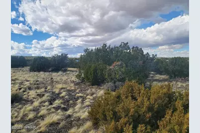 Tbd Cr 5166, Concho, AZ 85924 - Photo 5