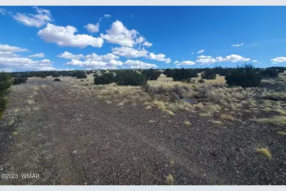 Tbd Cr 5166, Concho, AZ 85924 - Photo 3