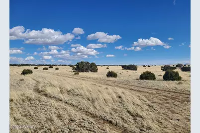 Tbd Cr 5143, Concho, AZ 85924 - Photo 5
