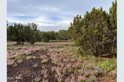 26 Palomino Place, Vernon, AZ 85940 - Photo 45