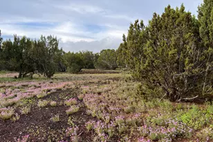 26 Palomino Pl, Vernon, AZ 85940 - Photo 45