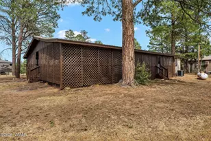 3520 Buckskin Rd, Overgaard, AZ 85933 - Photo 27