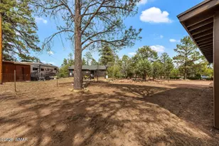 3520 Buckskin Rd, Overgaard, AZ 85933 - Photo 5