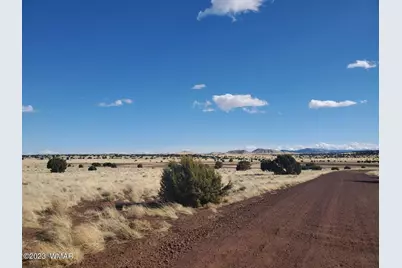 Tbd Cr 5105, Concho, AZ 85924 - Photo 5