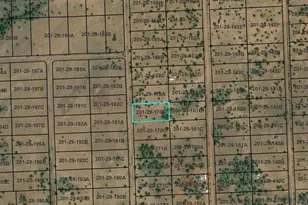 Tbd Cr 5123, Concho, AZ 85924 - Photo 1
