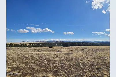 Tbd Cr 5076, Concho, AZ 85924 - Photo 5