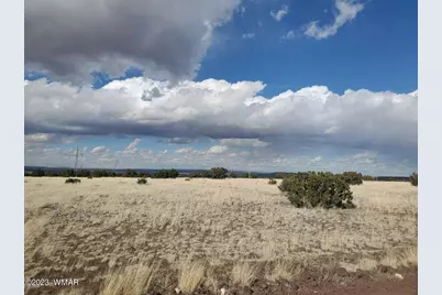 Tbd Cr 5076, Concho, AZ 85924 - Photo 3