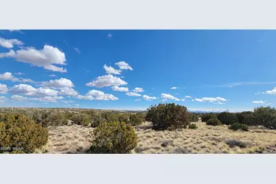 56 County Road, Concho, AZ 85924 - Photo 3