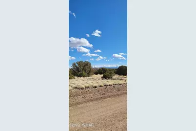 56 County Road, Concho, AZ 85924 - Photo 7