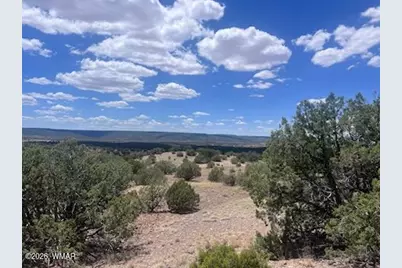 41 Indian Drive (Cr 8062), Concho, AZ 85924 - Photo 7
