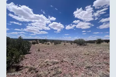 41 Indian Drive (Cr 8062), Concho, AZ 85924 - Photo 15