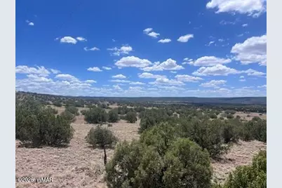 41 Indian Drive (Cr 8062), Concho, AZ 85924 - Photo 23