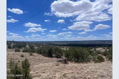 41 Indian Drive (Cr 8062), Concho, AZ 85924 - Photo 1