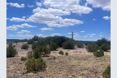 41 Indian Drive (Cr 8062), Concho, AZ 85924 - Photo 17