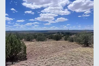 41 Indian Drive (Cr 8062), Concho, AZ 85924 - Photo 9