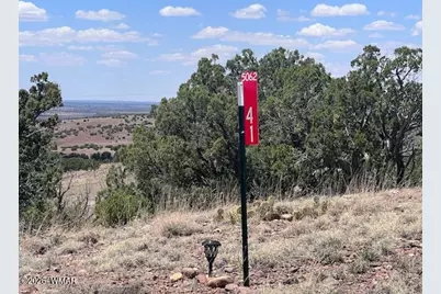 41 Indian Drive (Cr 8062), Concho, AZ 85924 - Photo 3