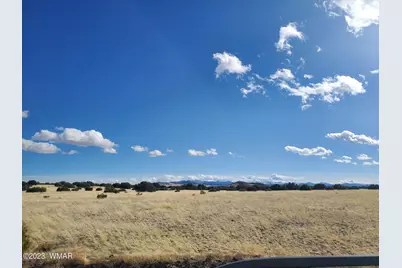 Tbd Cr 5074, Concho, AZ 85924 - Photo 3