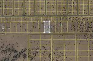 Tbd Cr 5076, Concho, AZ 85924 - Photo 1