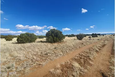 Tbd Cr 5101, Concho, AZ 85924 - Photo 3