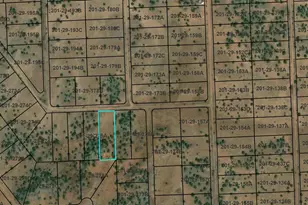 Tbd Cr 5120, Concho, AZ 85924 - Photo 1