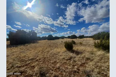 Tbd Cr 5120, Concho, AZ 85924 - Photo 5