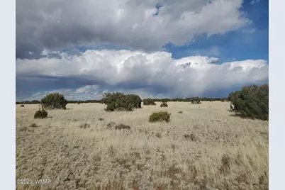 Tbd Cr 5120, Concho, AZ 85924 - Photo 3