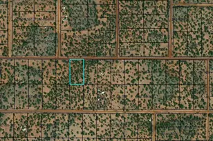 170 County Rd, Vernon, AZ 85940 - Photo 1