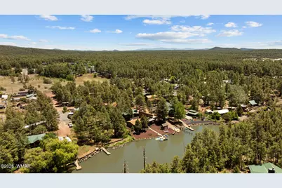 1960 Lee Reese, Lakeside, AZ 85929 - Photo 83