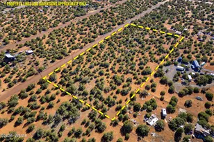 233 Co, Concho, AZ 85924 - Photo 1
