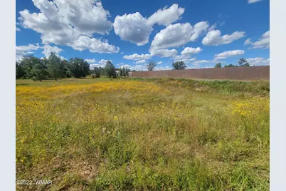 2277 Meadow Lane, Overgaard, AZ 85933 - Photo 5