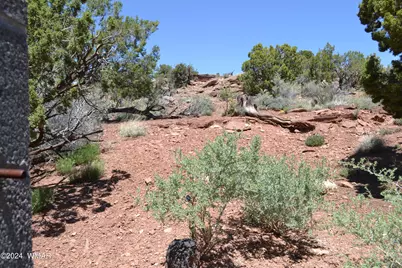 3733 Del Contento, Snowflake, AZ 85937 - Photo 47