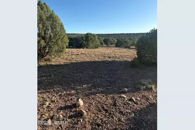 Tbd N5547, Concho, AZ 85924 - Photo 3