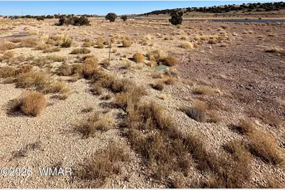 9 County Road 5700, Concho, AZ 85924 - Photo 3