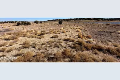 9 County Road 5700, Concho, AZ 85924 - Photo 1