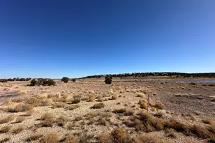 9 County Road 5700, Concho, AZ 85924 - Photo 1