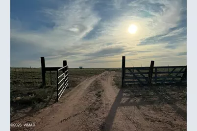 9972 Cattleman Road, Holbrook, AZ 86025 - Photo 5