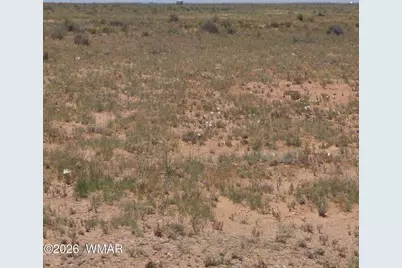 9972 Cattleman Road, Holbrook, AZ 86025 - Photo 39