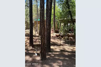 2240 E Lariat Way, Show Low, AZ 85901 - Photo 35