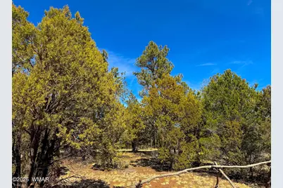 11 Co Rd 3262 5 Acres, Vernon, AZ 85940 - Photo 7