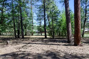 2651 E Chilton Dr, Pinetop, AZ 85935 - Photo 43
