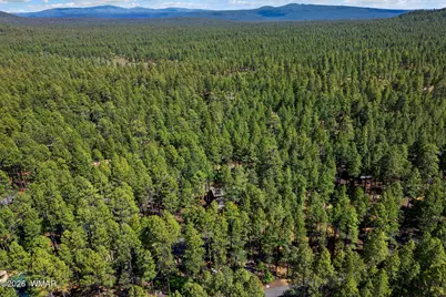 8424 Alchesay Drive, Pinetop, AZ 85935 - Photo 31