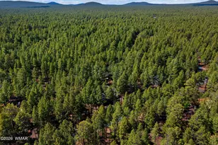 8424 Alchesay Dr, Pinetop, AZ 85935 - Photo 47