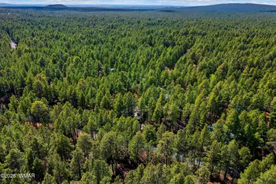 8424 Alchesay Drive, Pinetop, AZ 85935 - Photo 33