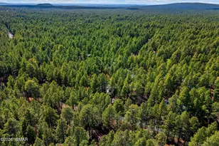 8424 Alchesay Dr, Pinetop, AZ 85935 - Photo 33