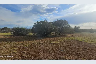 2429 Bourdon Ranch Road, Show Low, AZ 85901 - Photo 19