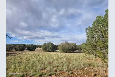 2429 Bourdon Ranch Road, Show Low, AZ 85901 - Photo 3