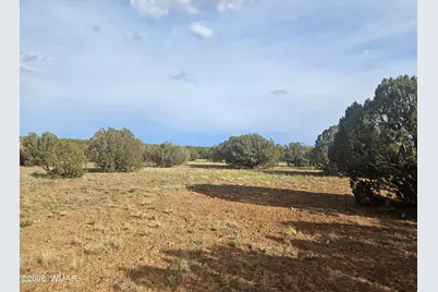2429 Bourdon Ranch Road, Show Low, AZ 85901 - Photo 5